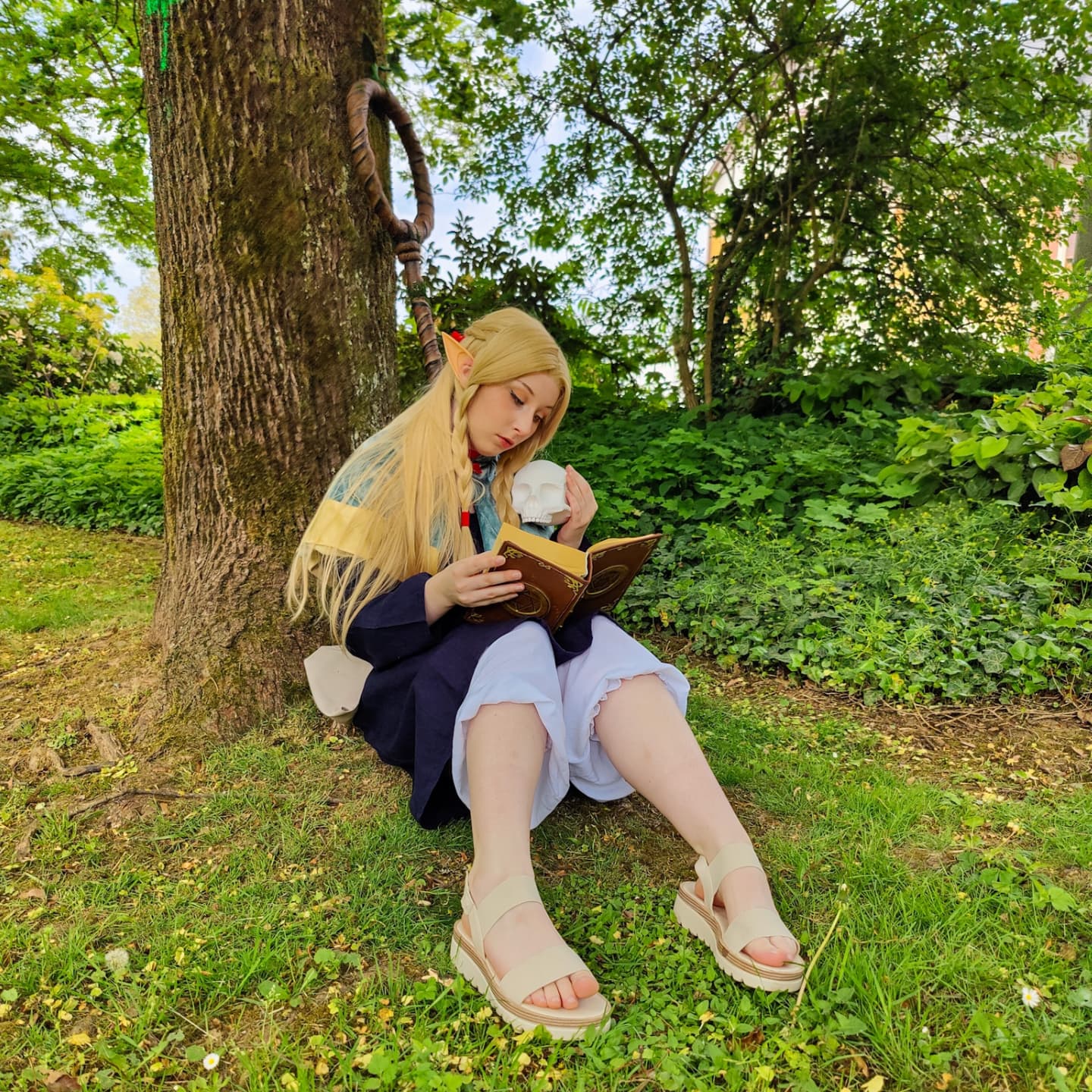 Marcille Donato from Delicious in Dungeon